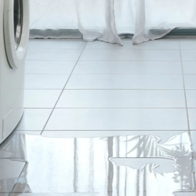 Appliance Leak Cleanup in Little Falls, MN