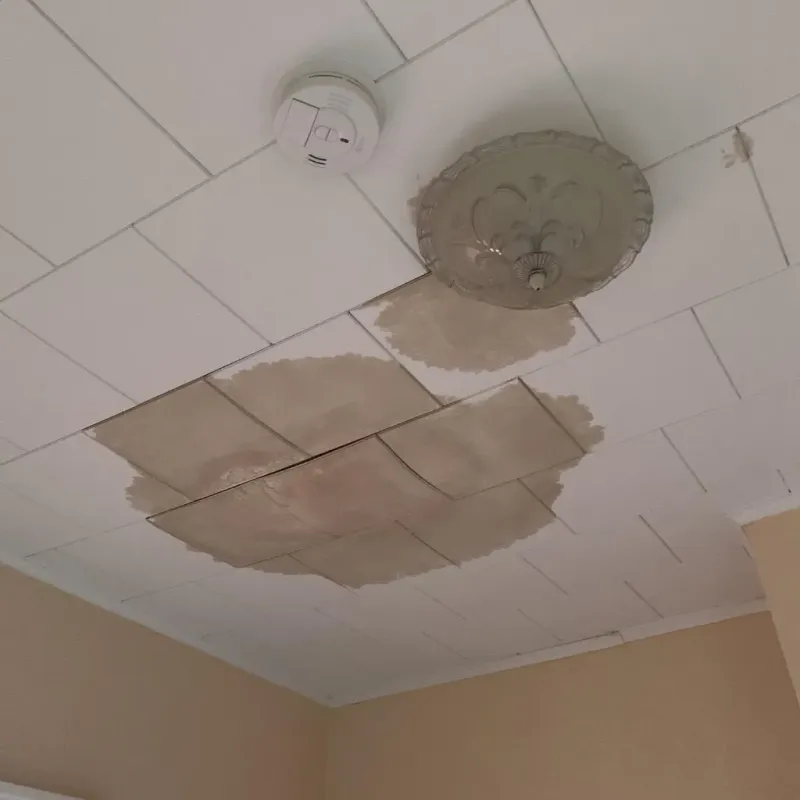 Ceiling Water Damage Repair in Little Falls, MN
