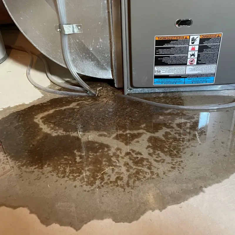 Pipe Burst and Leak Restoration in Little Falls, MN