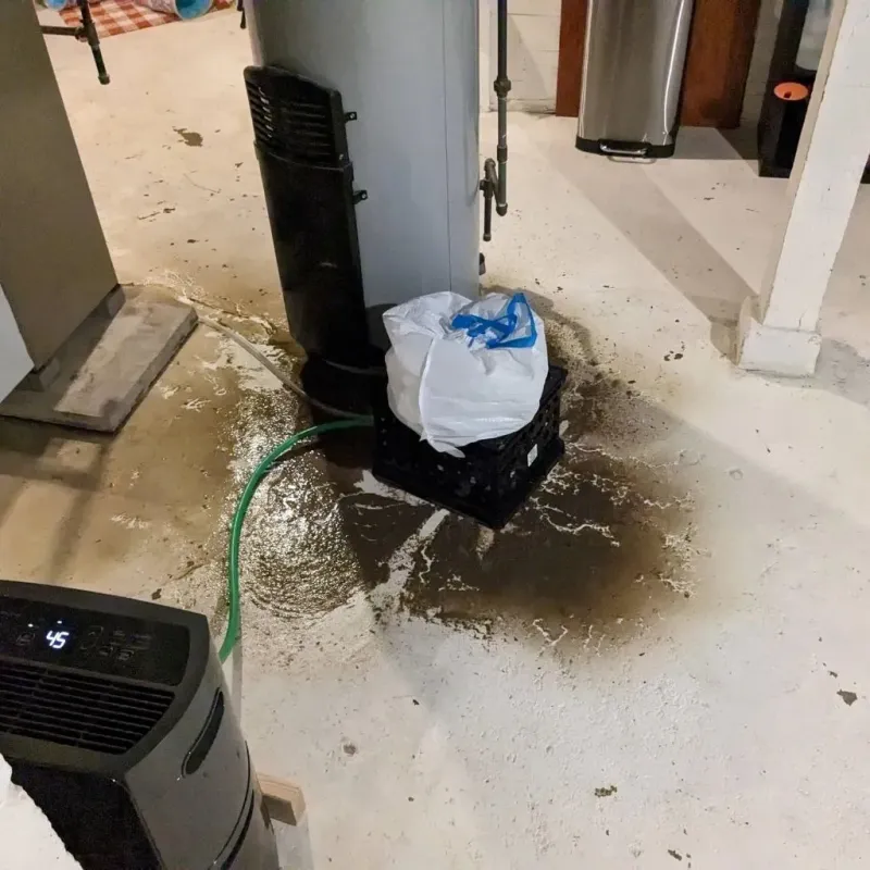 Sewage Backup Cleanup Service in Little Falls, MN